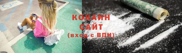 винт Верея