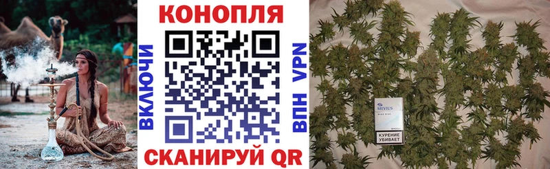 Купить где  Новая Ладога  Шишки марихуана MAZAR 